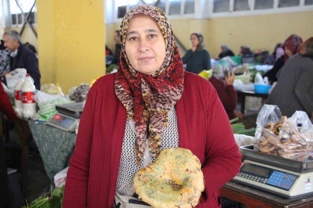 Bolu'da, son yağışlar sonrası ormanlarda bolca bulunan kanlıca mantarları, vatandaşlar