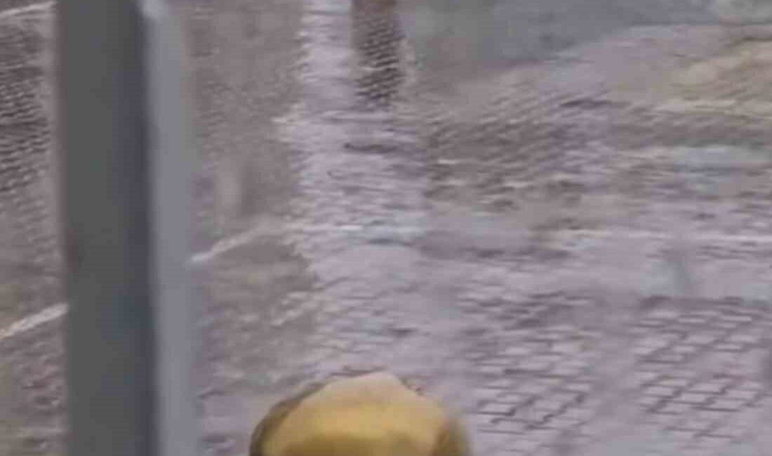 Iğdır’da Yağmur Altında İstiklal Marşı Okuyan Öğrenci Duygusal Anlar Yaşattı Iğdır'daki İnönü İlkokulu'nda yağmur altında İstiklal Marşı okuyan bir kız