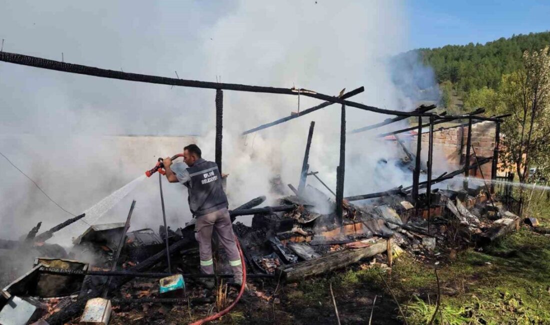 Karabük'ün Eflani ilçesinde Osman Cebeci'ye ait arılıkta bilinmeyen bir sebeple