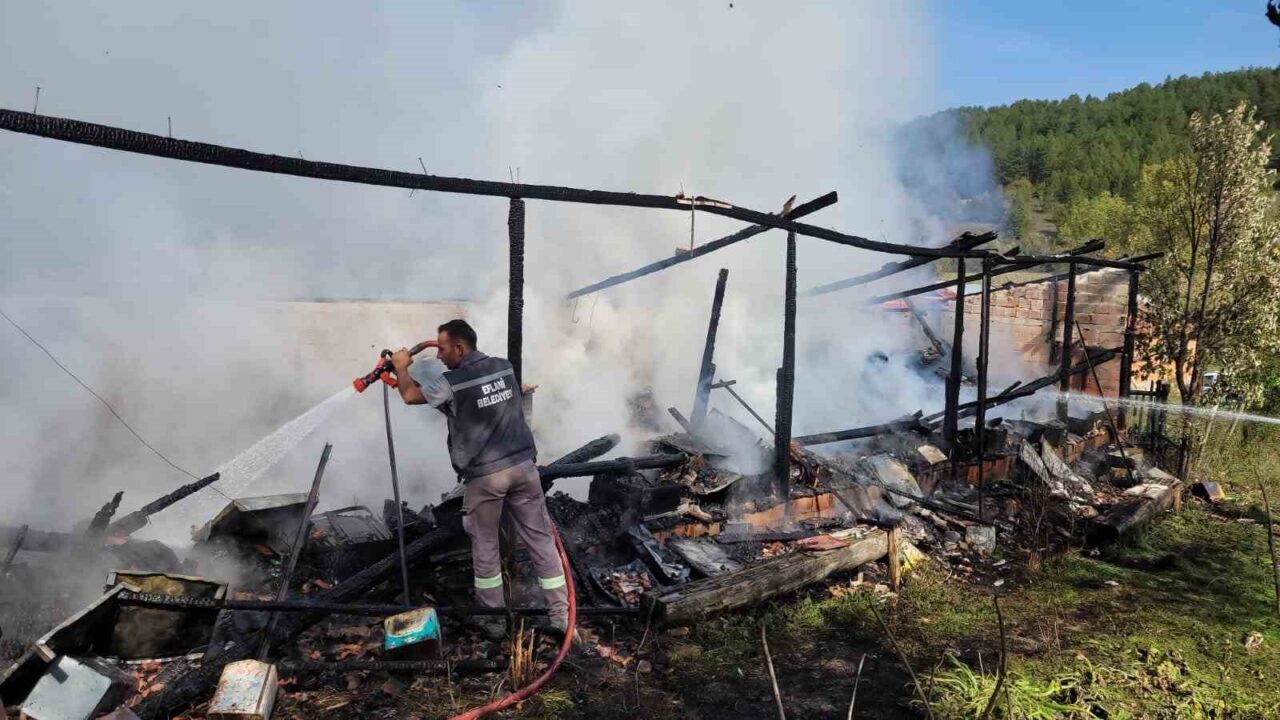 Karabük'ün Eflani ilçesinde Osman Cebeci'ye ait arılıkta bilinmeyen bir sebeple