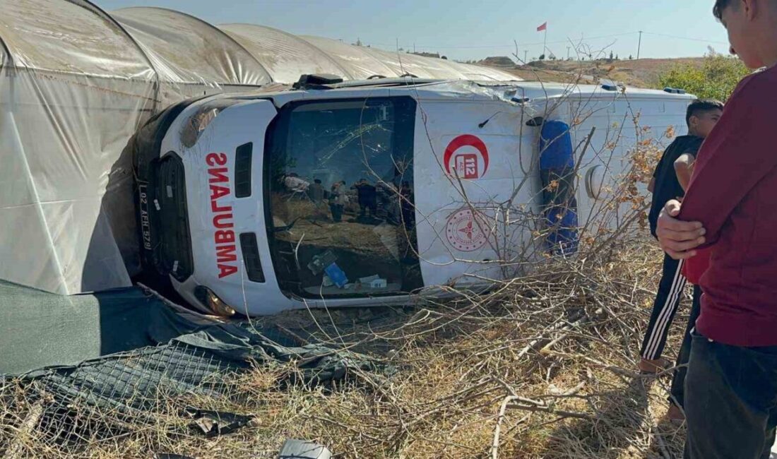 Adıyaman'ın Samsat ilçesinde tarım işçileri arasında çıkan kavgada yaralanan iki