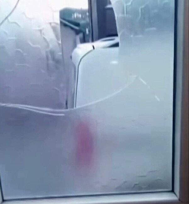 Sakarya'nın Söğütlü ilçesinde H.İ.Ş. ve N.Ş. isimli yaşlı çift, arsalarını