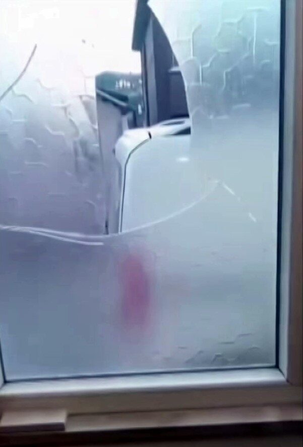 Sakarya'nın Söğütlü ilçesinde H.İ.Ş. ve N.Ş. isimli yaşlı çift, arsalarını