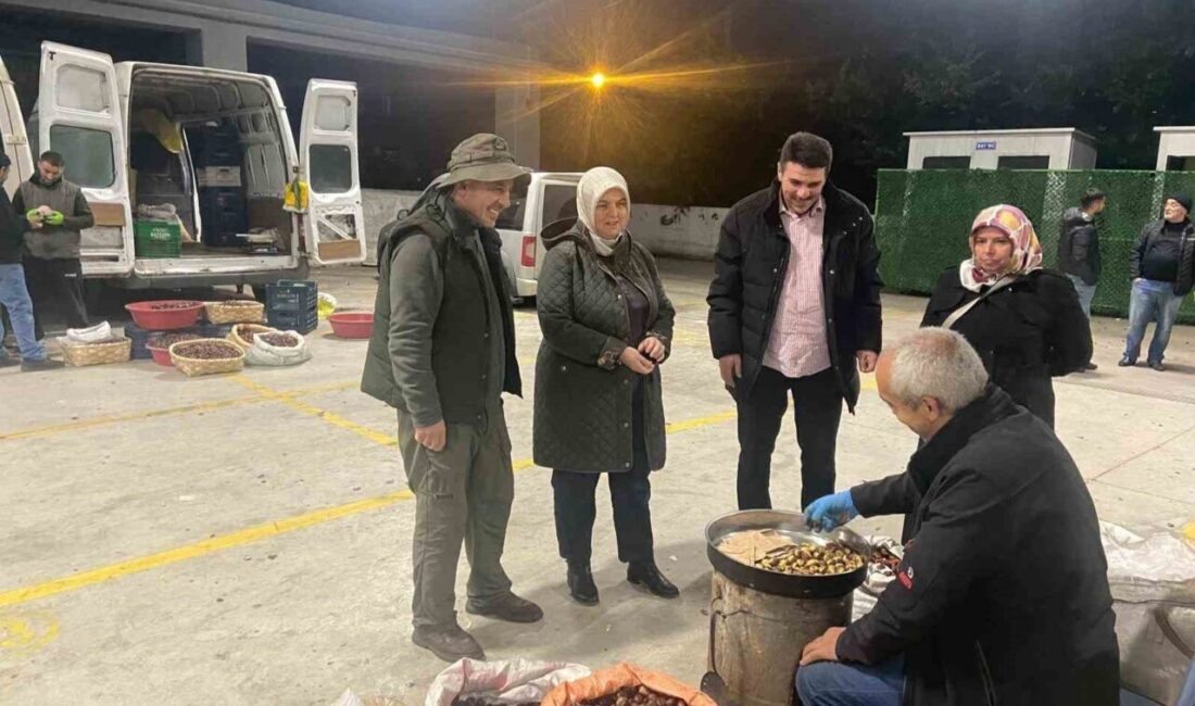 Düzce Kestanesinin Hasat Sezonunda Üreticilerle Bir Araya Gelen Tarım Müdürü Esra Uzun, Coğrafi İşaret Tescilinin Önemi Üzerine Değerlendirmelerde Bulundu Düzce İl Tarım ve Orman Müdürü Esra Uzun, coğrafi işaret