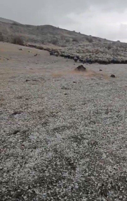 Elazığ’da Yıldırım Düşmesi Sonucu Sürü Sahibi Yaralandı