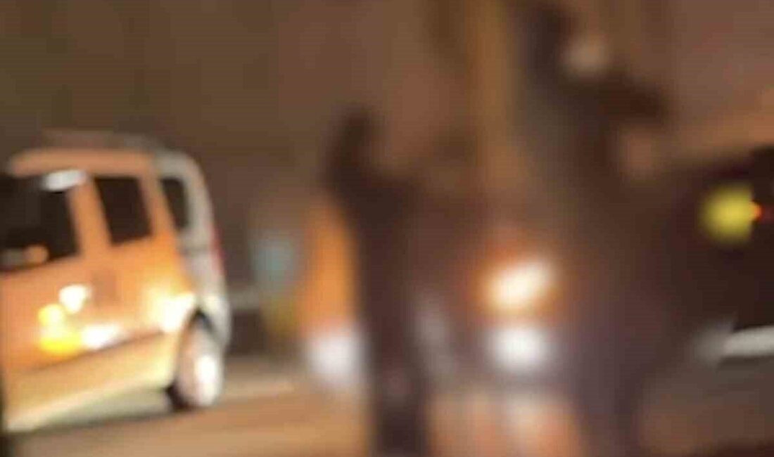 Düzce'de asker konvoyu düzenleyen gençler, Sallar Mahallesi çevre yolunda trafiği