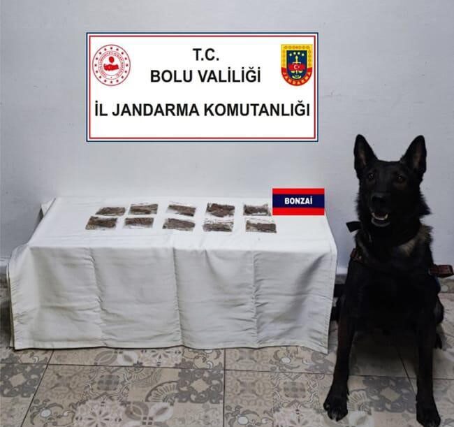 Bolu'da jandarma, yol kontrolü sırasında durdurduğu iki araçta 146 gram