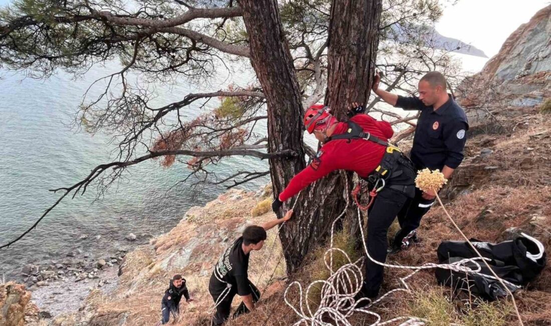 Muğla'nın Fethiye ilçesinde yürüyüş sırasında düşüp omzunu yaralayan F.E, olayın