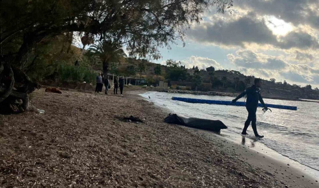 Bodrum Açıklarında Batan Botta 7 Göçmenin Cansız Bedenine Ulaşıldı, Kayıp 8 Kişi İçin Arama Faaliyetleri Sürüyor Muğla'nın Bodrum açıklarında batan lastik bottaki 7 düzensiz göçmenin cesedi