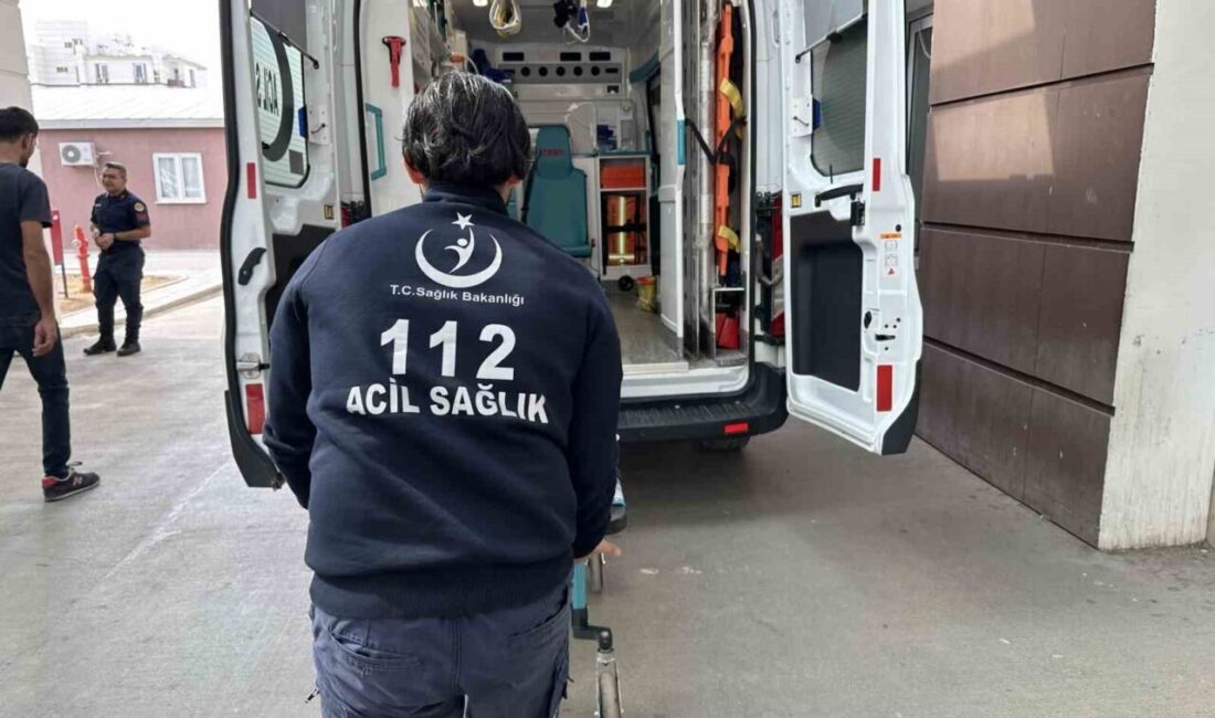 Adıyaman'da zeytin toplamak amacıyla ağaçta bulunan H.A., dengesini kaybederek düştü