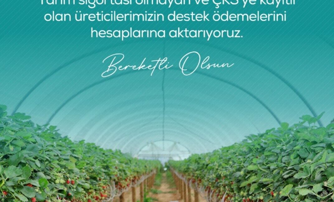 Tarım ve Orman Bakanı İbrahim Yumaklı, zirai dondan zarar gören