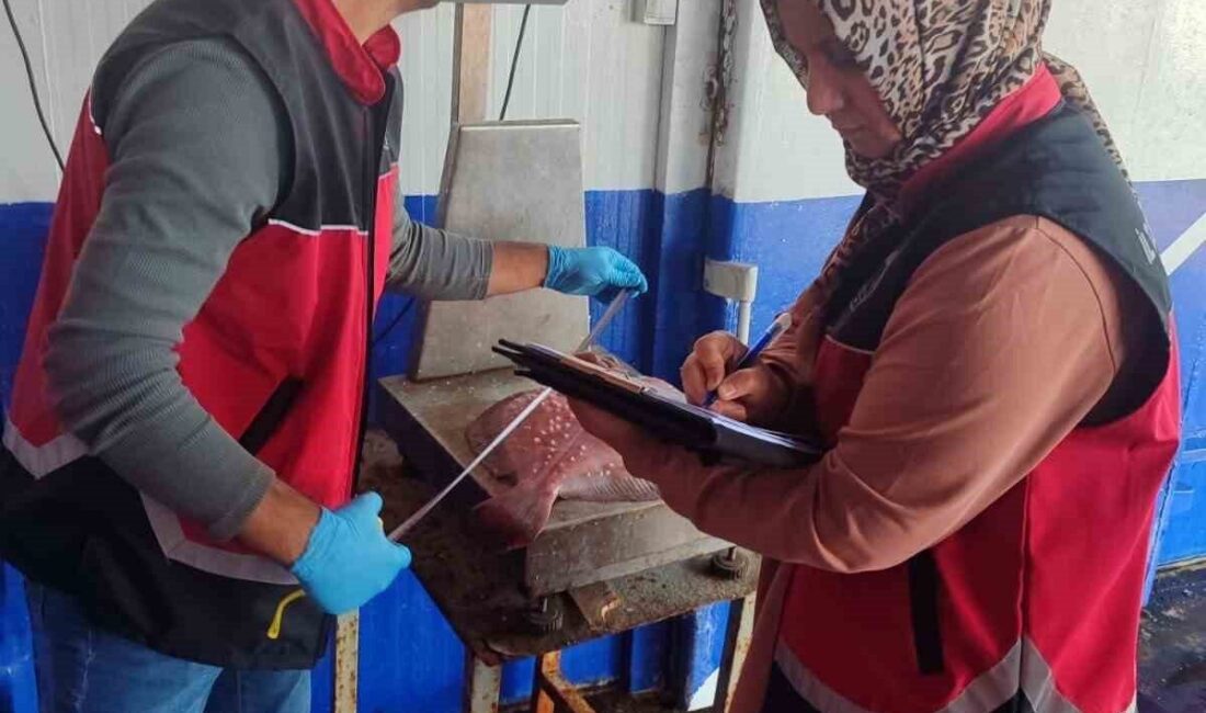 Zonguldak’ta Su Ürünleri Denetimleri Sıkı Bir Şekilde Devam Ediyor Zonguldak İl Tarım ve Orman Müdürlüğü, Kdz. Ereğli ve Çaycuma