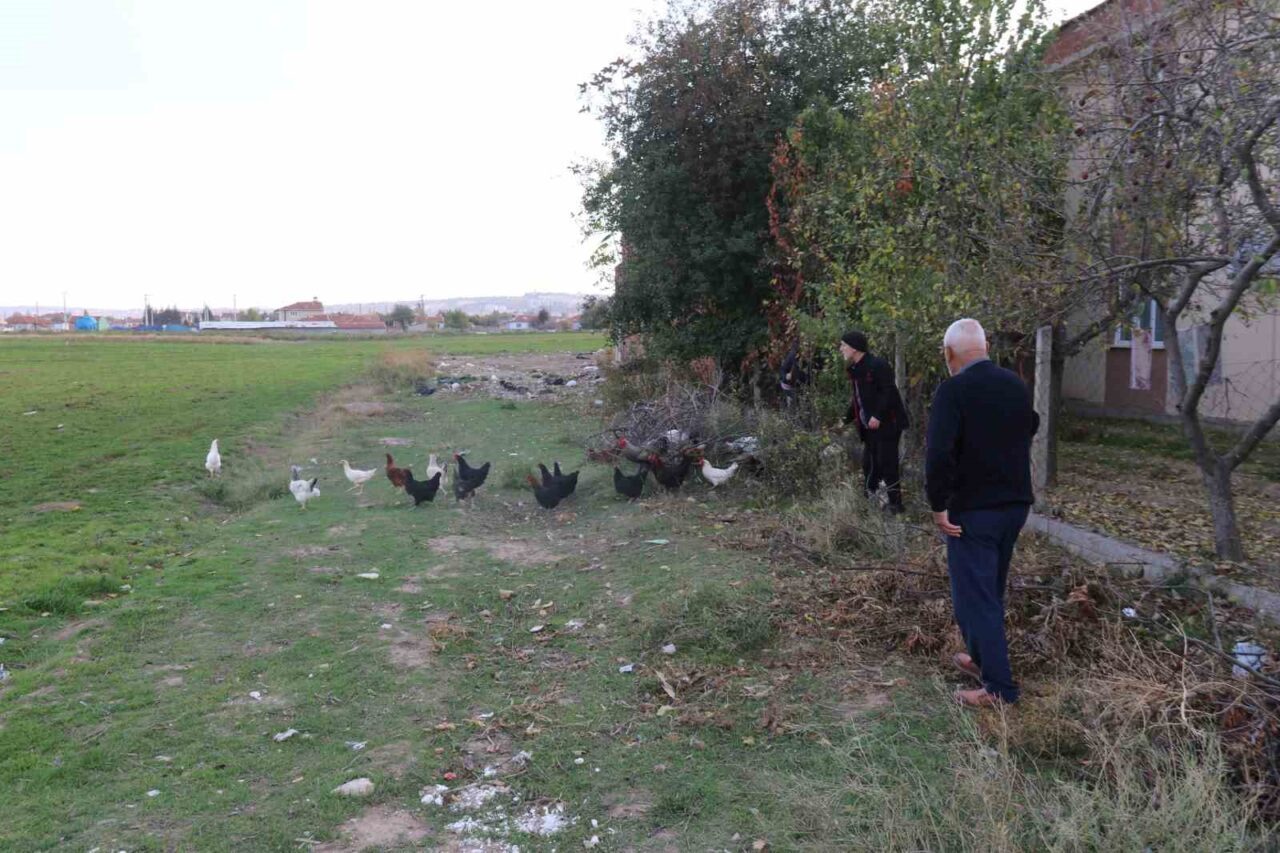 Eskişehir’in Gazipaşa Mahallesi’nde başıboş köpekler, 69 yaşındaki Mehmet Keskin ve