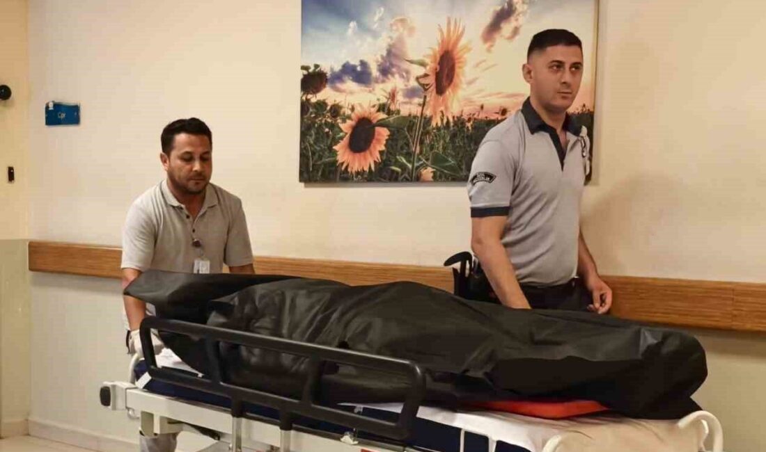 Bursa'nın İnegöl ilçesinde, Akhisar Mahallesi'nde yürüyüş yapan 62 yaşındaki Hüseyin