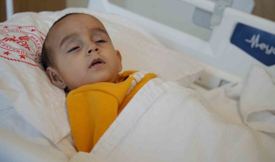 Osmaniye’de 14 Aylık İşitme Engelli Bebeğe Yapılan Beyin Sapı İmplantı İle İlk Kez Duymaya Başladı Osmaniye'de, 14 aylık Hamza Tuğra Çabuk, beyin sapına implant yerleştirilerek