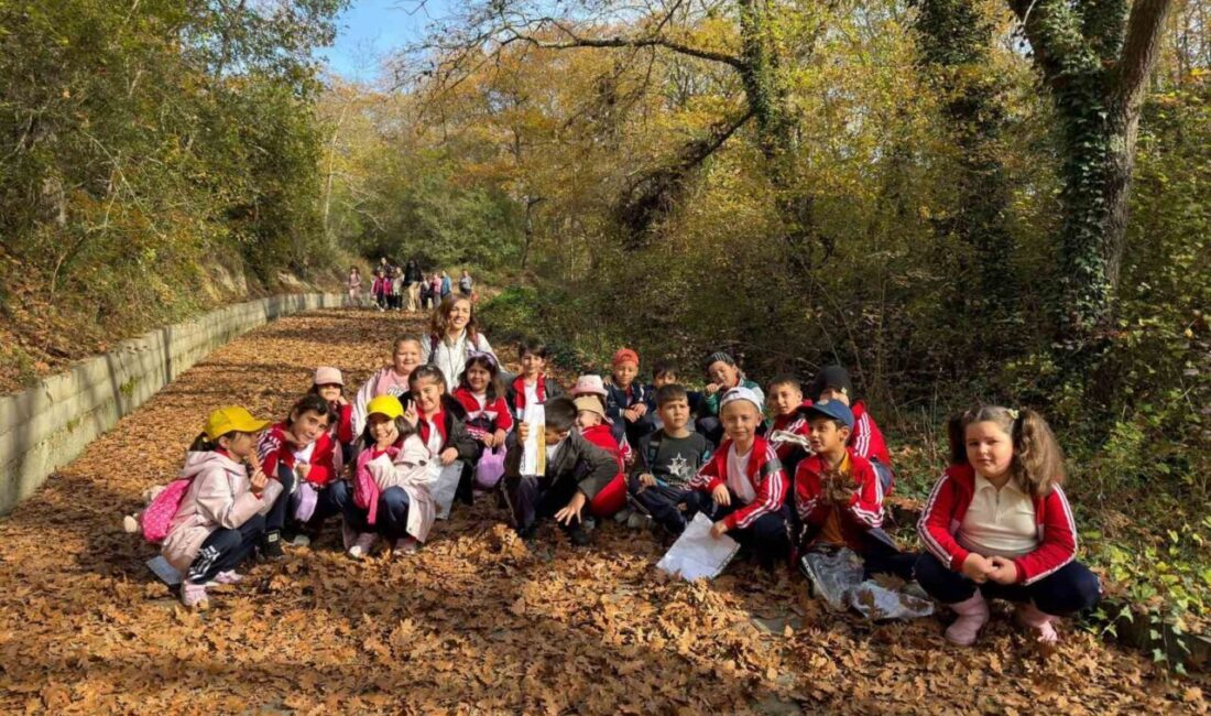 Zonguldak DKMP Müdürlüğü ve Zonguldak İlkokulu, 17-30 Kasım Erozyonla Mücadele