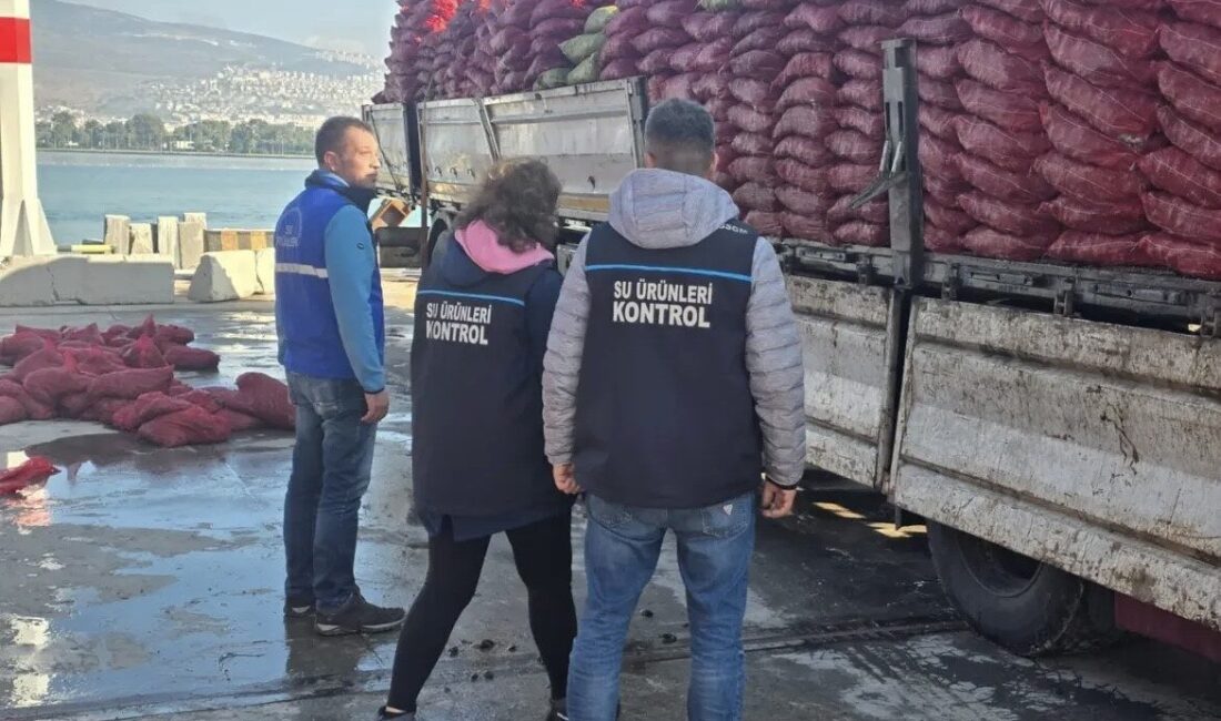 İzmir'de yapılan denetimlerde belgesiz olarak taşınan 27 ton kara midye