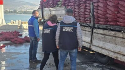 İzmir'de yapılan denetimlerde belgesiz olarak taşınan 27 ton kara midye