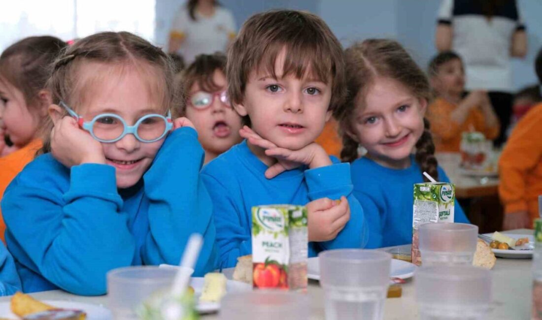 Yeşim Kreş, Şükrü Şankaya tarafından 1988'de kurularak 37 yıllık birikimiyle