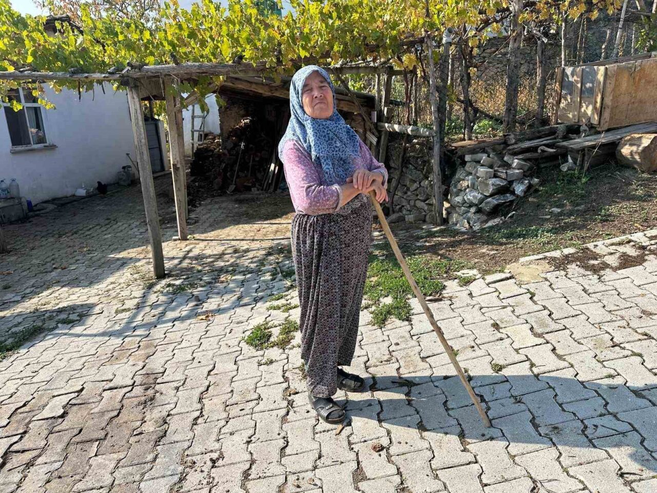 Bursa'nın Büyükorhan ilçesine bağlı Çökene Mahallesi'nde, geçmişte 50 hane varken