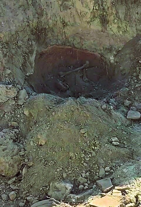 Denizli'nin Acıpayam ilçesinde, su borusu döşerken birtakım kemik parçaları ve