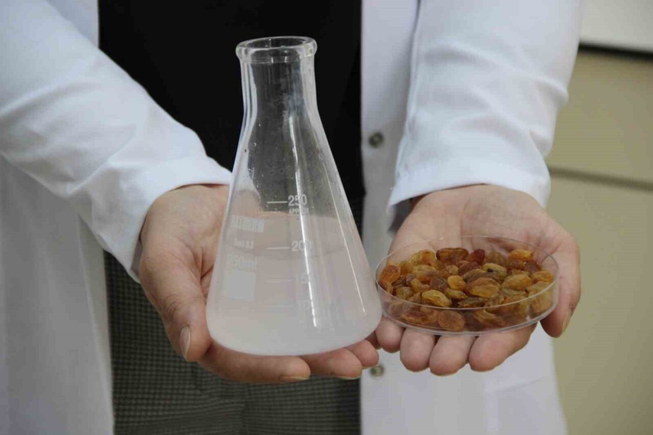 Hitit Üniversitesi'nde geliştirilen bir proje, Türkiye'nin kuru üzüm ihracatındaki toksin