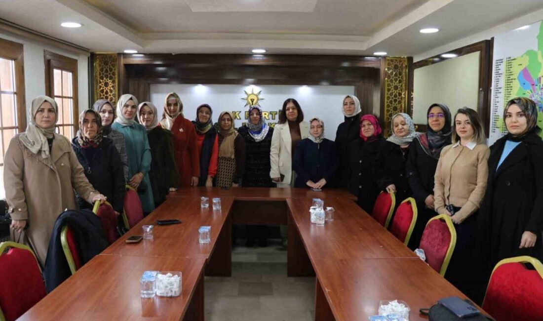 Sivas AK Parti Kadın Kolları, 25 Kasım Dünya Kadına Şiddetle