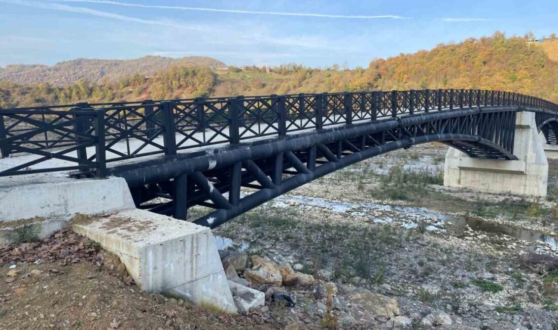 Bartın'ın Ulus ilçesine bağlı Apdipaşa beldesinde, sıvılaştırılmış doğal gaz dağıtım