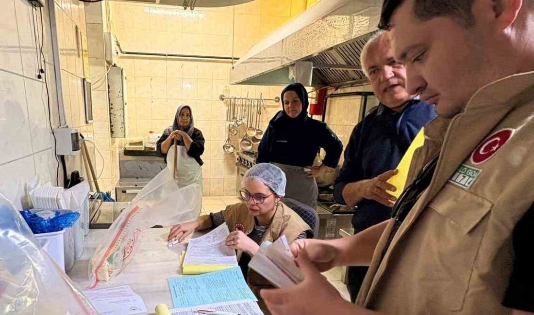 Adana'da 1 Ocak-15 Kasım tarihleri arasında gıda işletmelerine yapılan denetimlerde