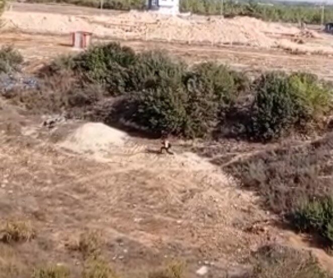 Adana'nın Sarıçam ilçesinde, hakaret suçundan 2 yıl hapis cezası bulunan