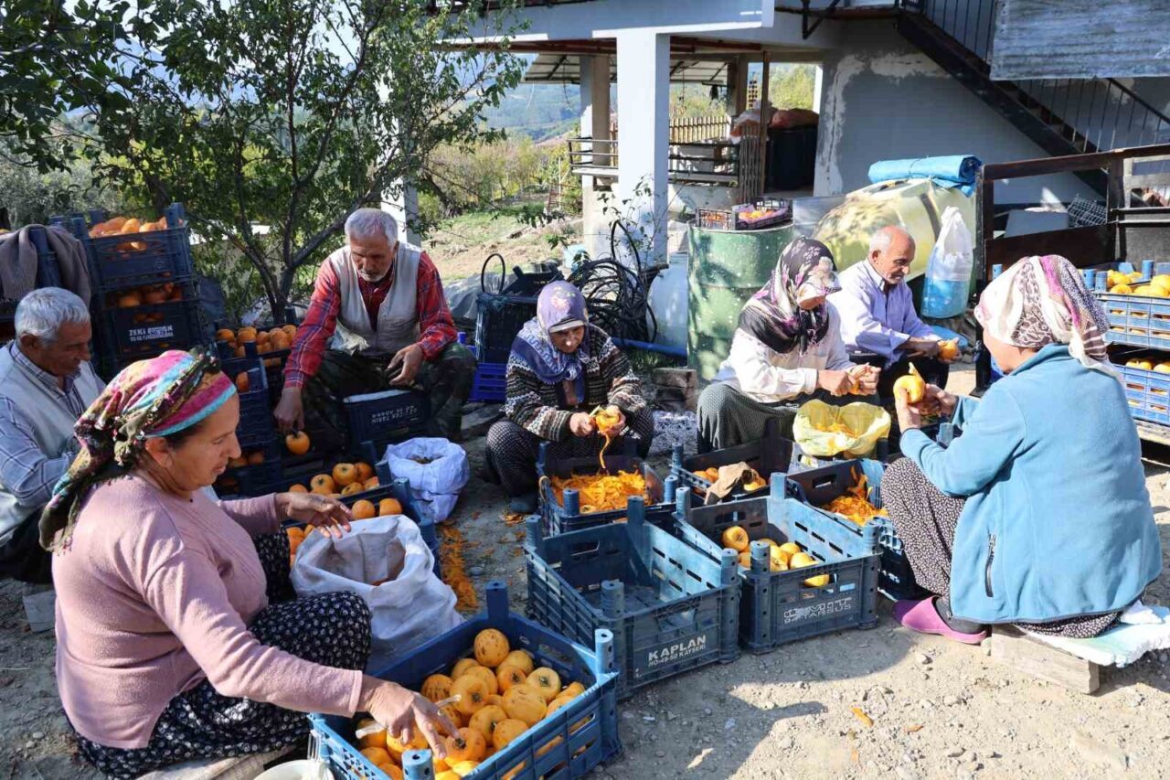 Kozan’daki Minnetli Köyü Hurma Üretimiyle Ekonomiye Katkı Sağlıyor