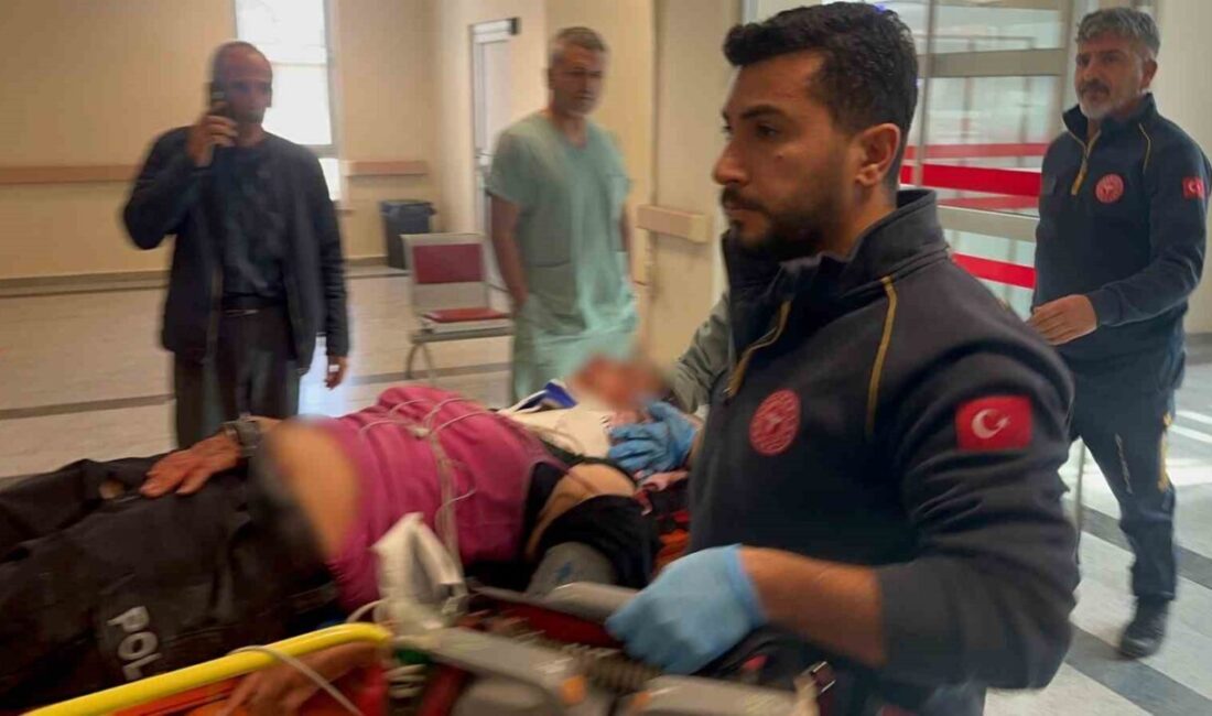 Adıyaman’da ‘Polis Emel’ Olarak Tanınan Zihinsel Engelli Kadın Hafif Ticari Araç Çarpmasıyla Ağır Yaralandı Adıyaman'da tanınan ve sevilen 'Polis Emel' olarak bilinen 47 yaşındaki