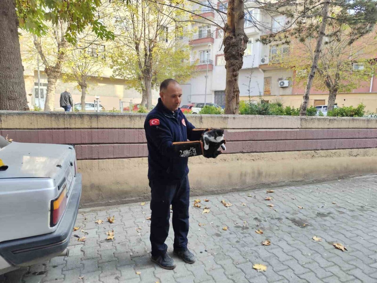 Çorum'un Sungurlu ilçesinde, Zübeyde Hanım Parkı'ndaki bir ağaçta mahsur kalan