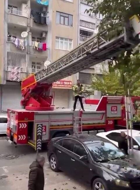 Diyarbakır'ın Bağlar ilçesinde ağaçta mahsur kalan kedi, itfaiye ekiplerinin hızlı