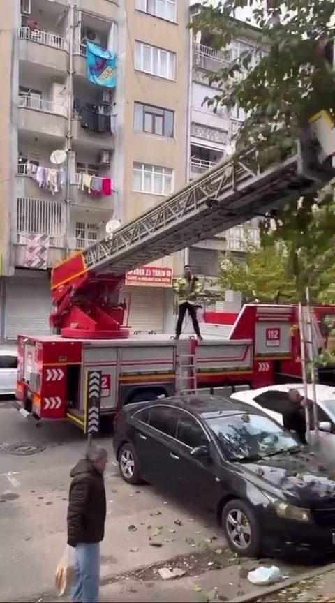 Diyarbakır'ın Bağlar ilçesinde ağaçta mahsur kalan kedi, itfaiye ekiplerinin hızlı