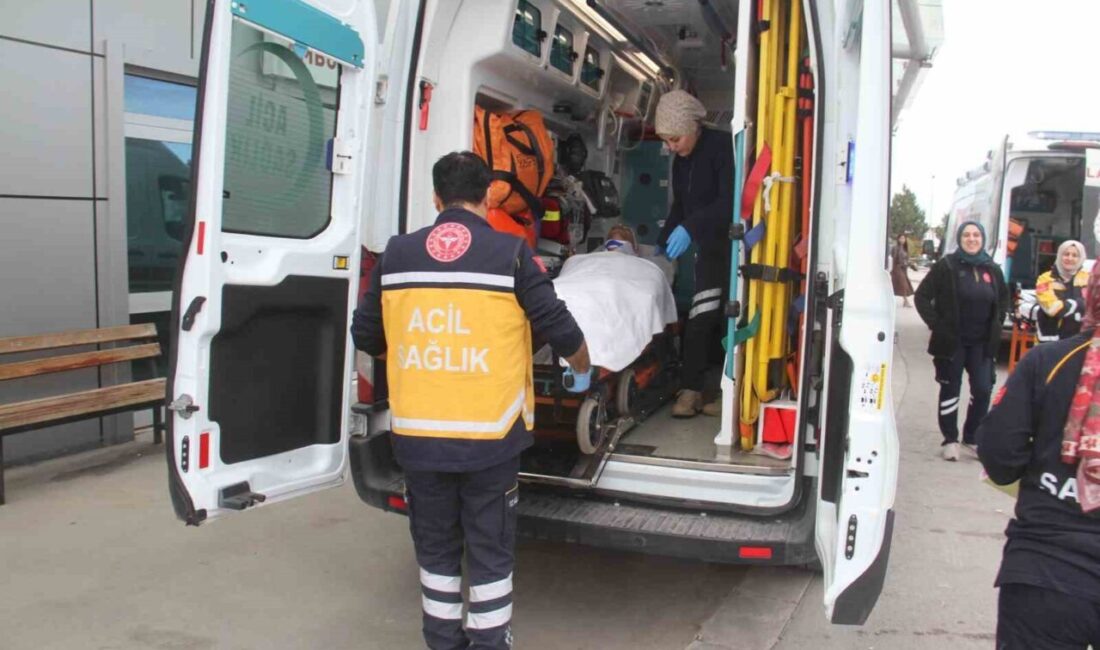 Konya'nın Beyşehir ilçesinde, Abdullah Ö. isimli besici, araziden gelen dananın