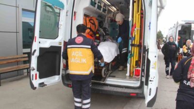 Konya'nın Beyşehir ilçesinde, Abdullah Ö. isimli besici, araziden gelen dananın