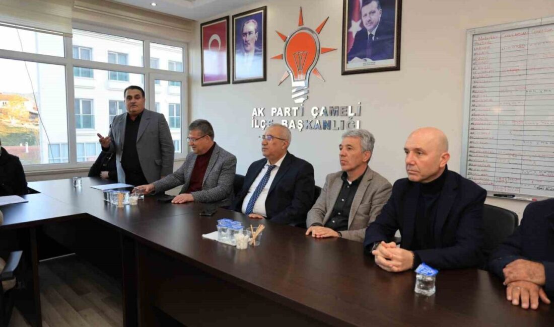 AK Parti Çameli İlçe Danışma Meclisi Toplantısı, İl Başkanı Muhammet