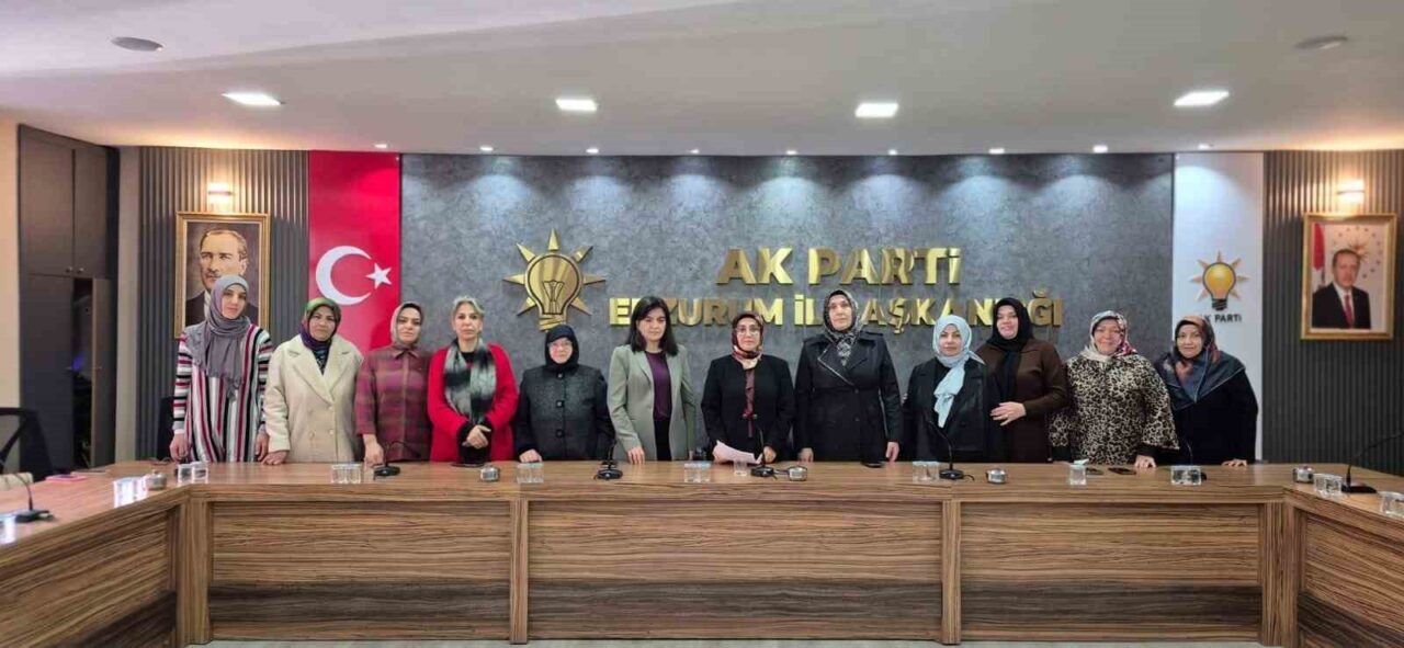 Ak Parti Kadın Kolları, 25 Kasım Kadına Yönelik Şiddete Karşı