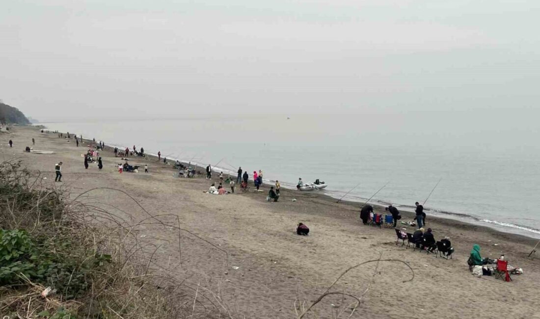 Akçakoca’da Sahiller Olta Avcılarıyla Doldunurken, Aileler Stres Atıyor Düzce'nin Akçakoca ilçesinde sahiller, olta avcıları ve aileleriyle dolarak kalabalıklaştı.