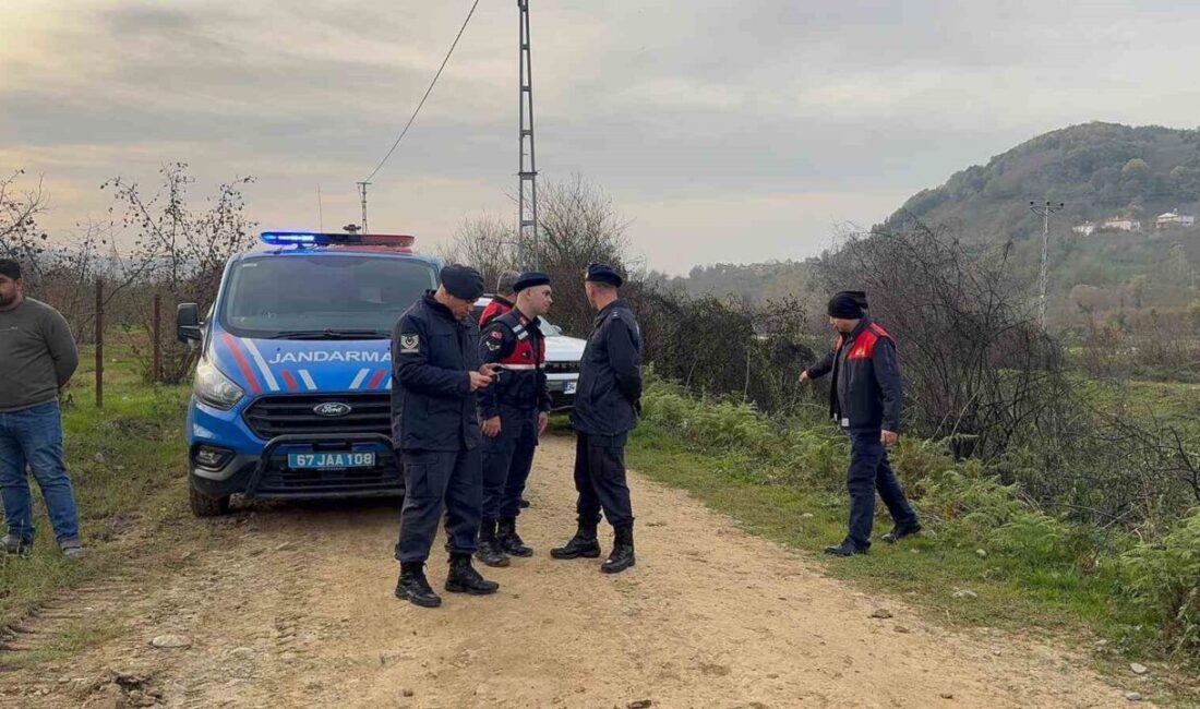Zonguldak'ın Alaplı ilçesindeki Sarıkadı köyünde, BOTAŞ'a ait doğalgaz boru hattı,