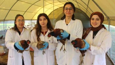 Amasya’daki Suluova Meslek Yüksekokulu, üniversite öğrencileri ve akademisyenlerle birlikte sülün