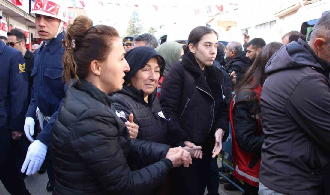 Gürcistan'da düşen Türk Hava Kuvvetleri'ne ait C-130 uçağındaki şehitlerden Hava