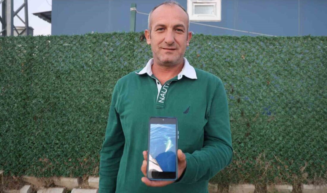 Hatay’da Amatör Balıkçı, Dev Köpek Balığıyla Mücadele Etti ve Oltasını Kurtardı Hatay'da amatör balıkçı Ufuk Ekizoğlu, arkadaşlarıyla birlikte denize açıldığında oltasına