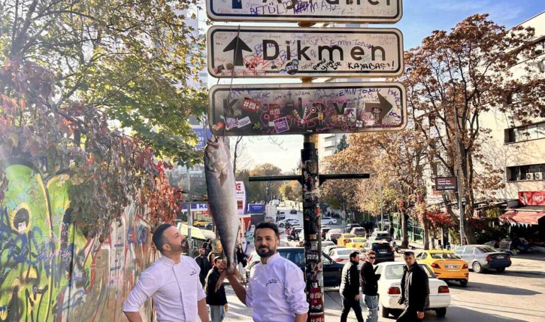 Ankara’da Balıkçı Kardeşlerden Tabela Akımına Farklı Bir Dokunuş: Akya Balığıyla Viral Anlar Ankara'nın Çankaya ilçesinde balık restoranı işleten kardeşler, Kızılay yön tabelasına