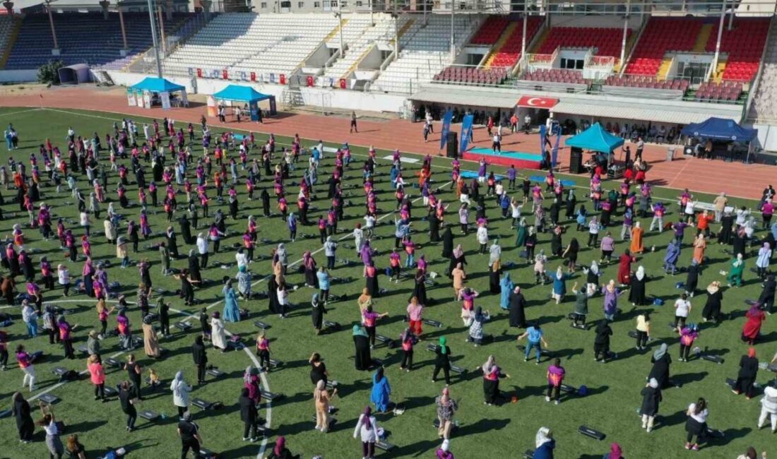 Kocaeli’nin Anne Şehir Programı, Avrupa Sosyal Hizmetler Ödülleri’nde Finale Kaldı Kocaeli Büyükşehir Belediyesi'nin "Anne Şehir Sağlıklı Yaşam Programı", Avrupa Sosyal