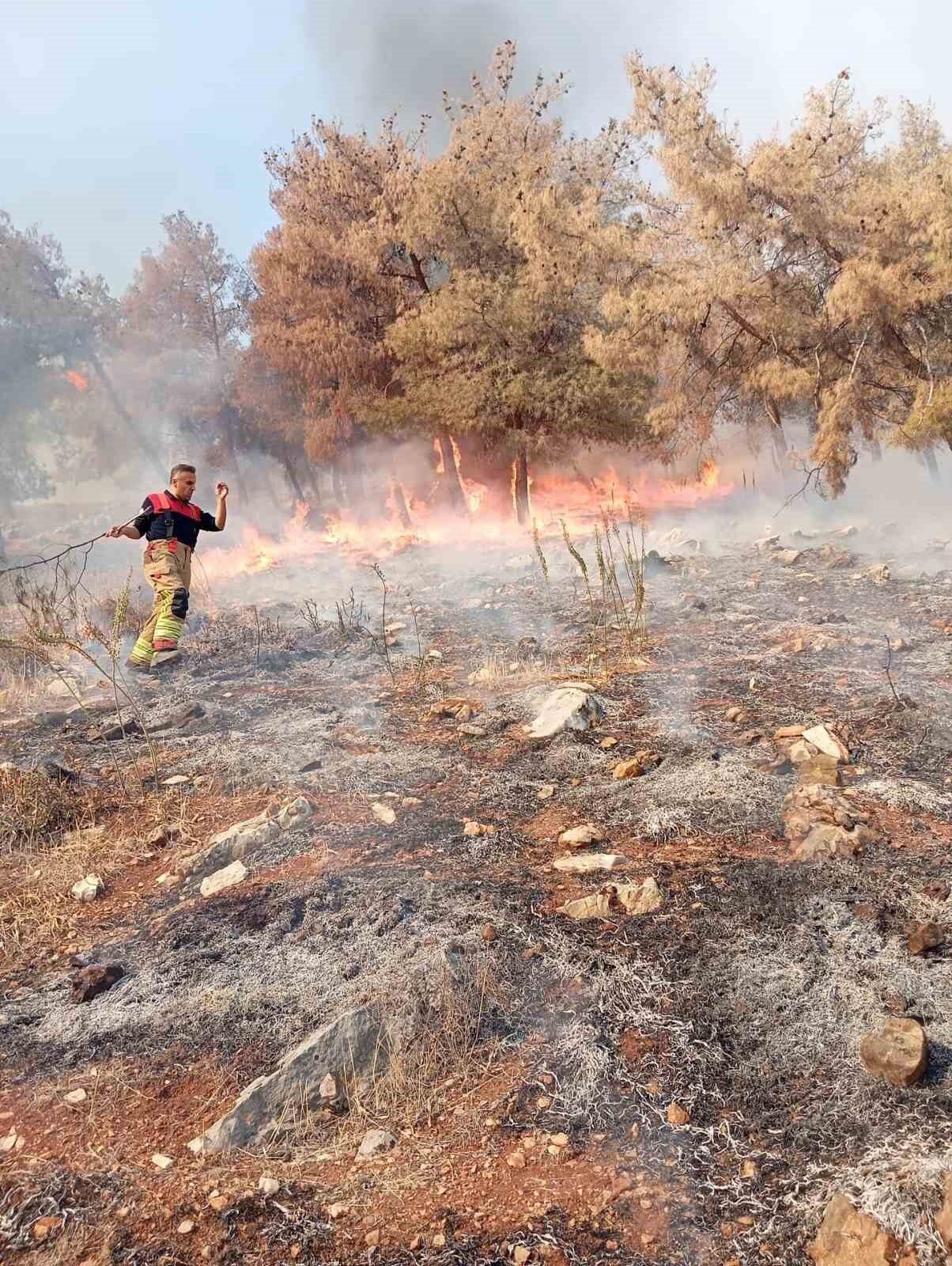 Hatay'ın Antakya ilçesindeki Maraşboğazı mevkiinde çıkan orman yangını, itfaiye ve