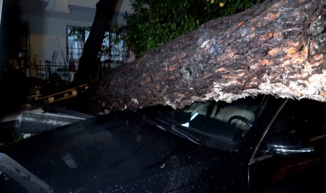 Antalya'nın Konyaaltı ilçesinde etkili yağış ve rüzgar nedeniyle devrilen ağaç,