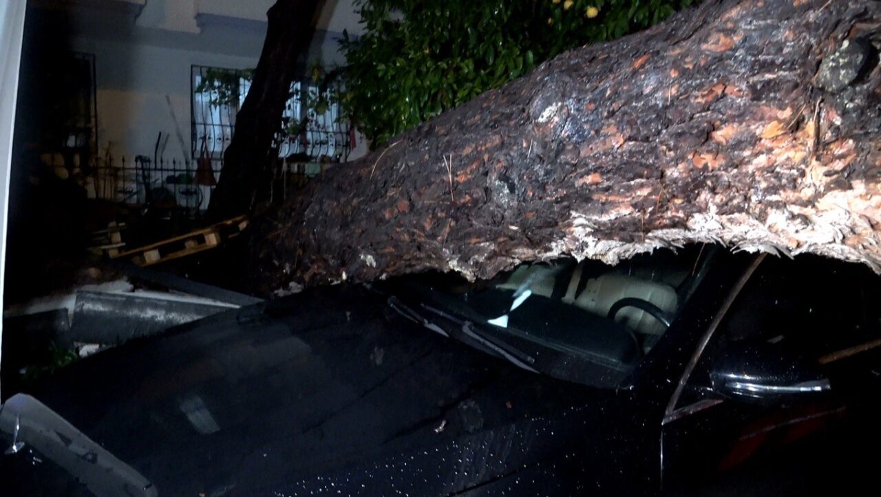 Antalya'nın Konyaaltı ilçesinde etkili yağış ve rüzgar nedeniyle devrilen ağaç,