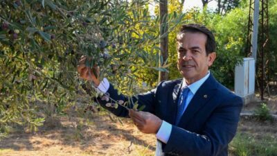 Antalya, "Antalya’da Zeytin Üretimi ve Zeytinyağı Kalite Yarışması" ile zeytin